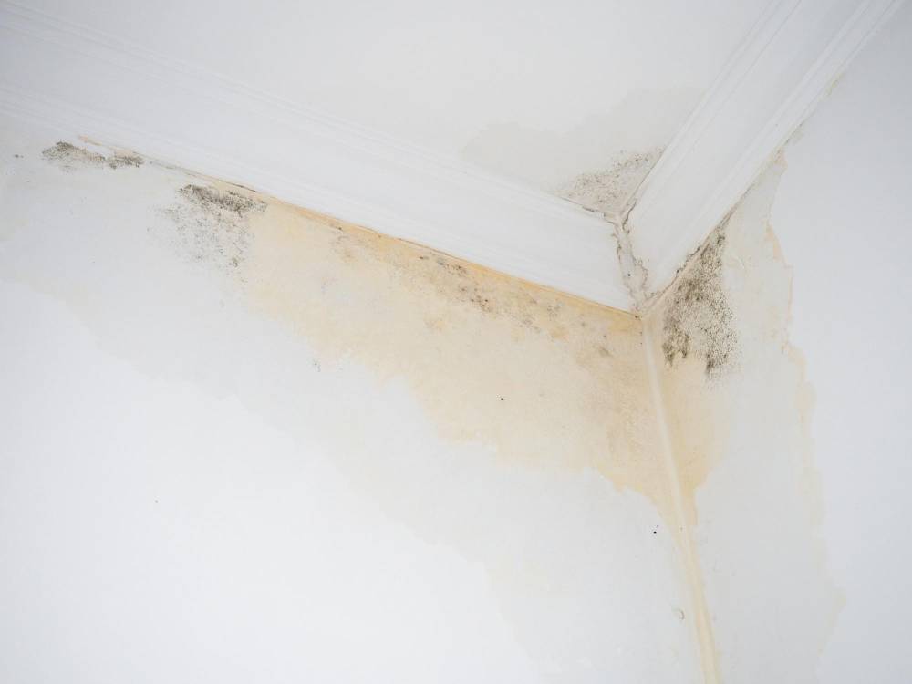 Ceiling Water Stains: What They Really Mean